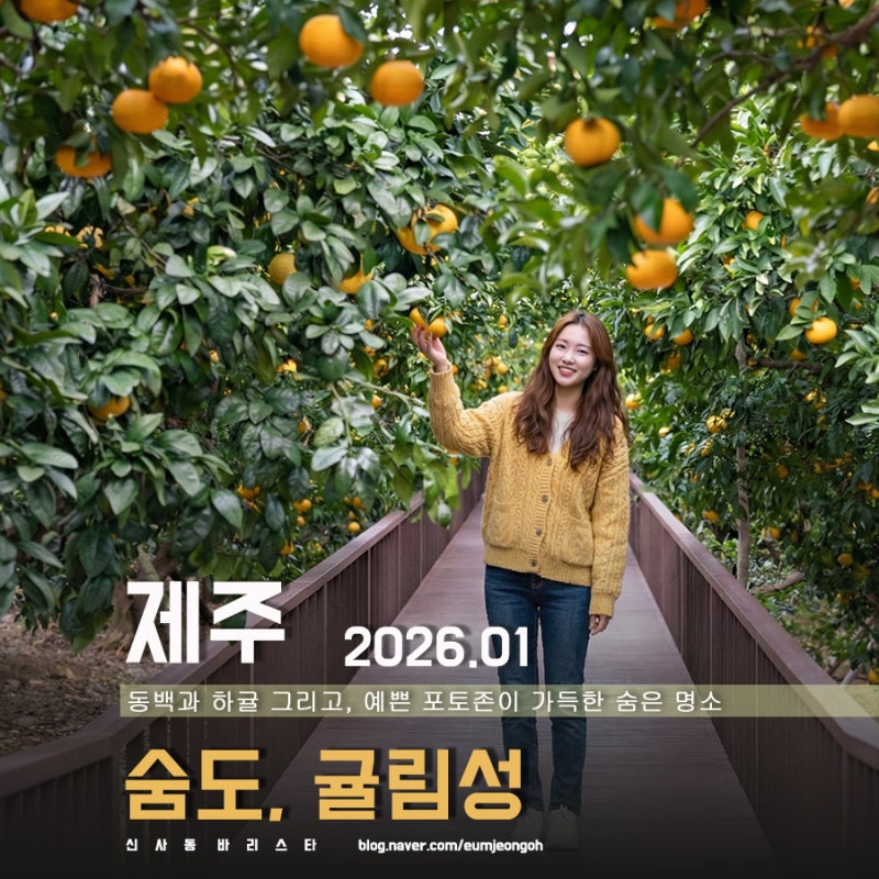 사진 6
