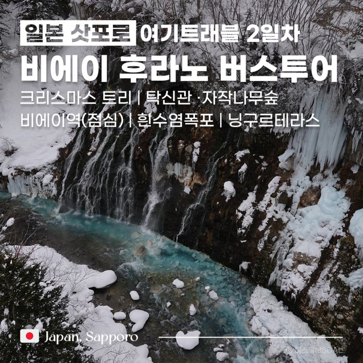 [일본/삿포로여행] 여기트래블 2일차 :: 비에이 후라노 버스투어_크리스마스 트리탁신관 자작나무숲비에이역 점심흰수염폭포닝구르테라스