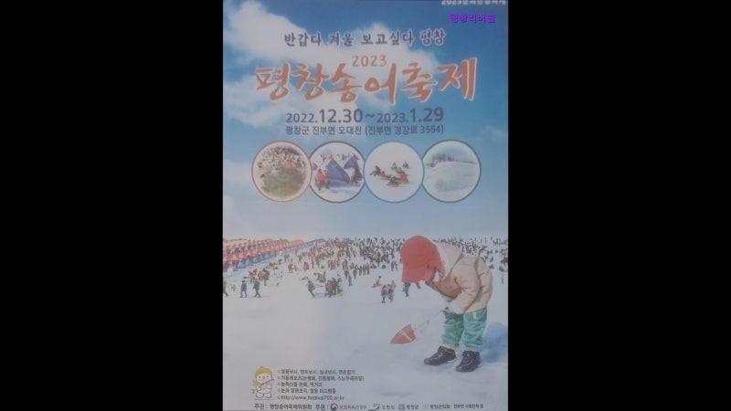 사진 9