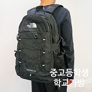 노스페이스 가방 백팩 보레알리스 2 고등학생 중학생 가방 내돈내산