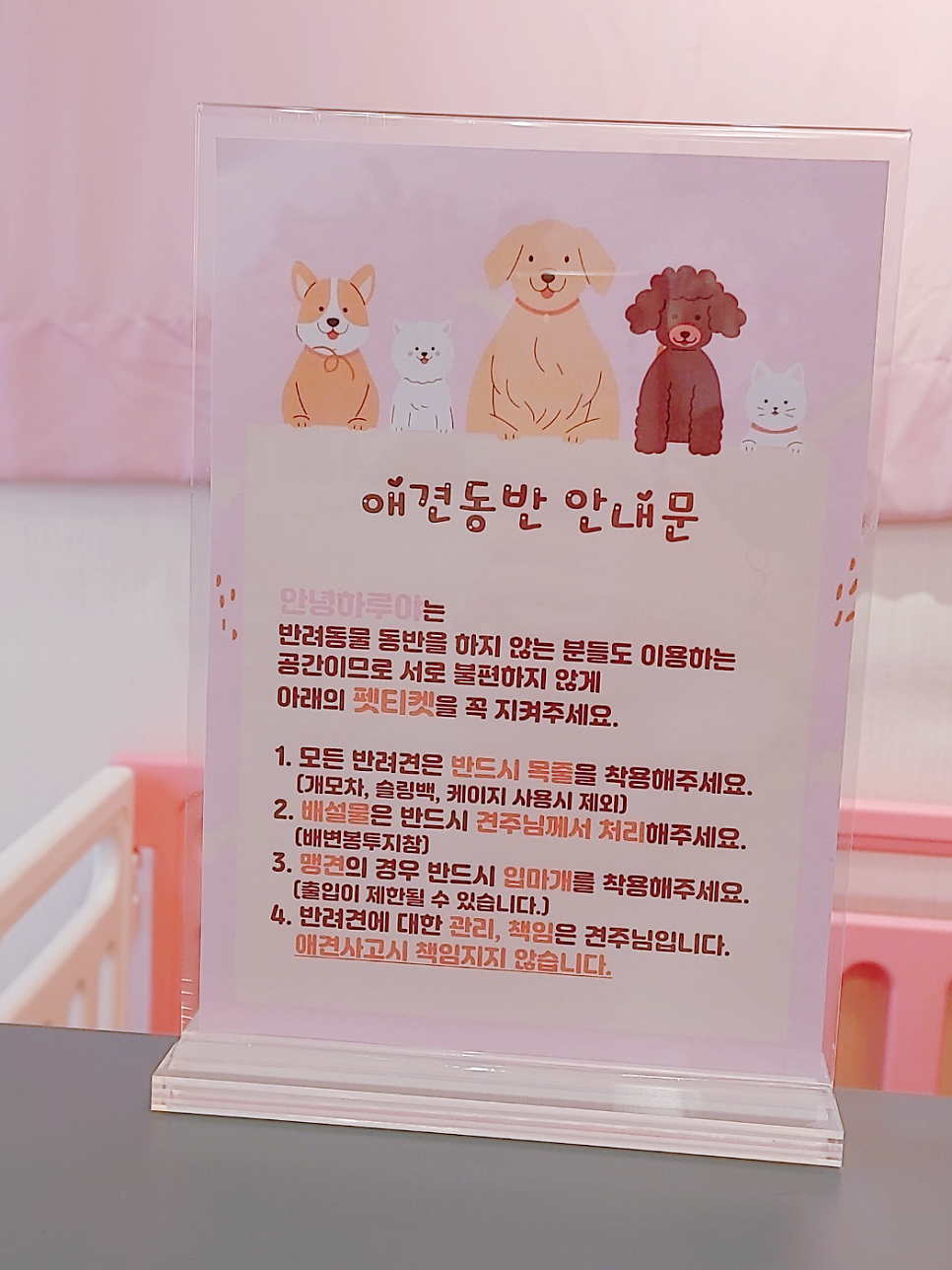 안녕하루야 사진 6