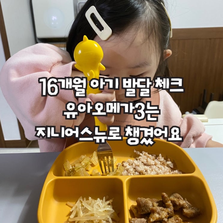  16개월 17개월 아기발달 체크, 유아오메가3 지니어스뉴로 챙겼어요