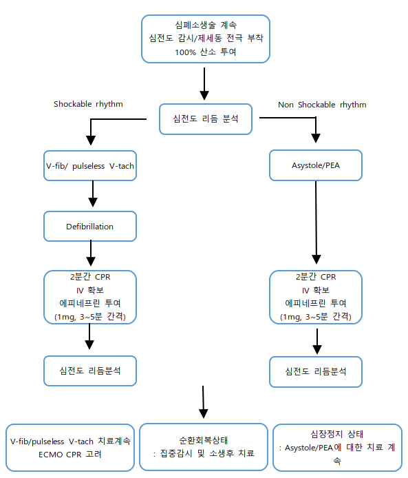 [KALS Provider] 공부하기 / 간호사 CPR 자격증