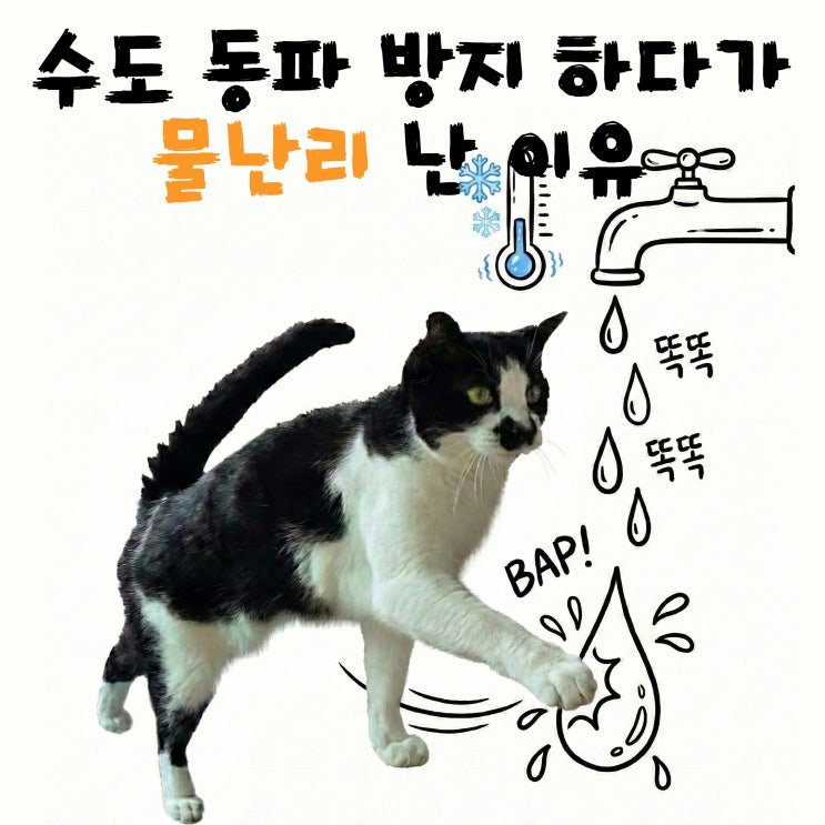  수도 동파방지 방법 이거안하면 고양이 집이라면 홍수 날 수 있어요!!