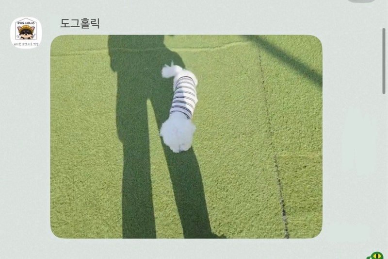 사진 3
