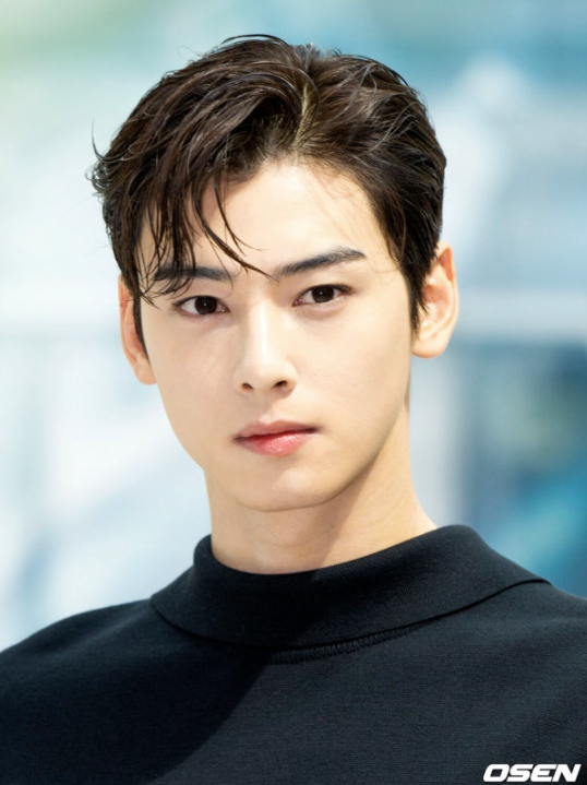   차은우 200억 탈세 의혹 광고계 6시간 만에 광속 삭제 "군 복무 중 날벼락"
