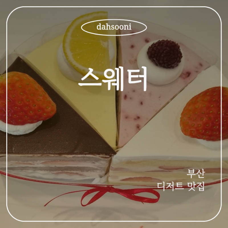 부산대 디저트 맛집 추천｜스웨터(SWEATER) 조각 케이크 홀케이크 당일 픽업 후기
