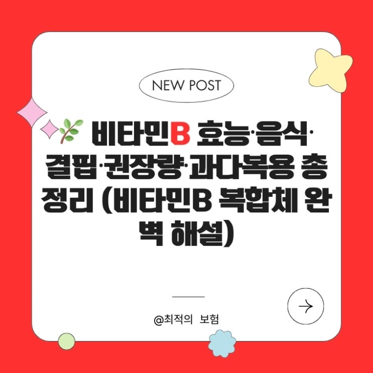   비타민B 효능·음식·결핍·권장량·과다복용 총정리 (비타민B 복합체 완벽 해설)
