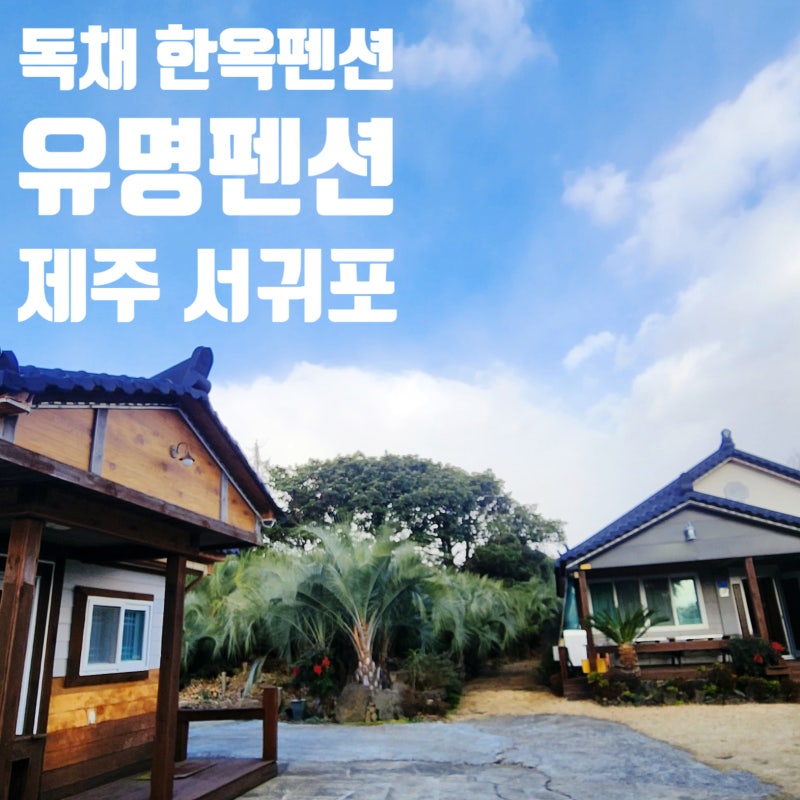 제주 단체펜션 찾는다면?｜서귀포 표선 유명펜션(방3·화장실3) 만족