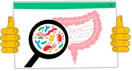  [Metagenome분석] 미생물의 비밀, 데이터로 풀다_한국의과학연구원 분석센터