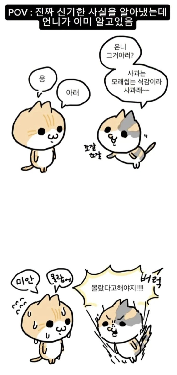  언니의 본분.manhwa