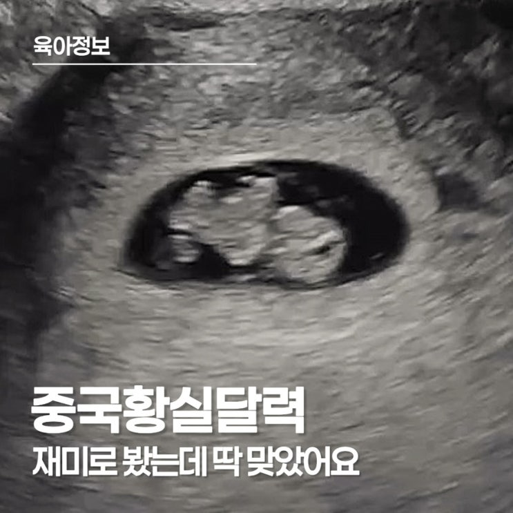  중국황실달력으로 아기 성별 예측, 아기 성별 확인하는 황실달력 보는 법