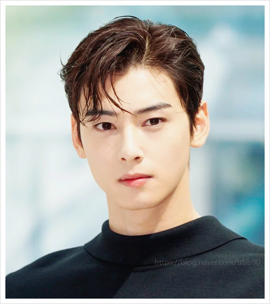 차은우 광고계 손절 시작! 세계 6위 200억 탈세 규모가 불러온 나비효과 입대 도피설? 장어집?