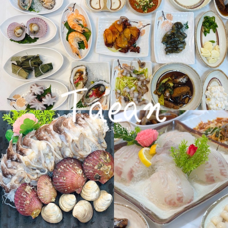 새조개샤브샤브 태안횟집추천 | 막퍼주는횟집 | 안면도 현지인 맛집