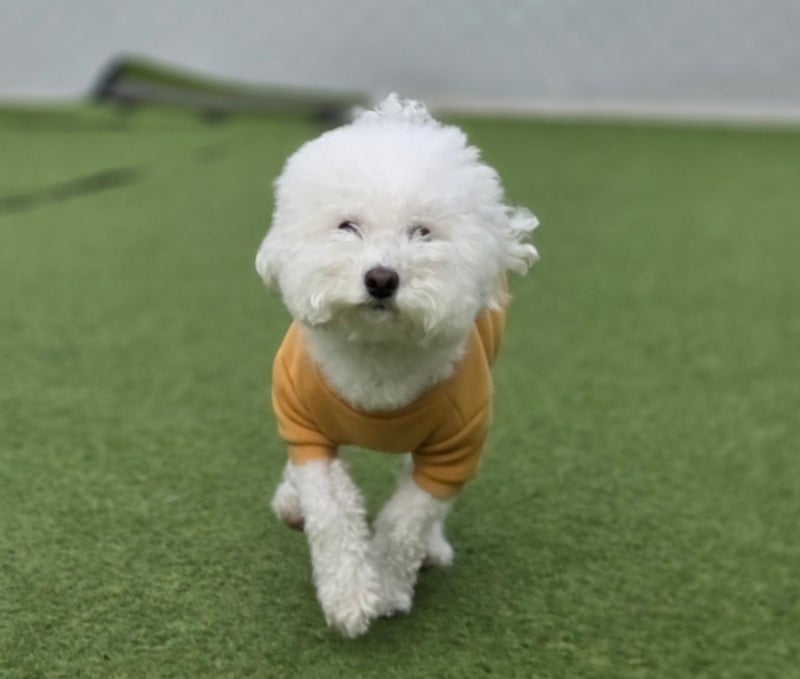 사진 2