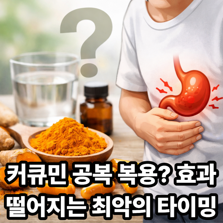  커큐민 공복 섭취 괜찮을까?｜흡수율 떨어지는 이유와 올바른 복용 타이밍