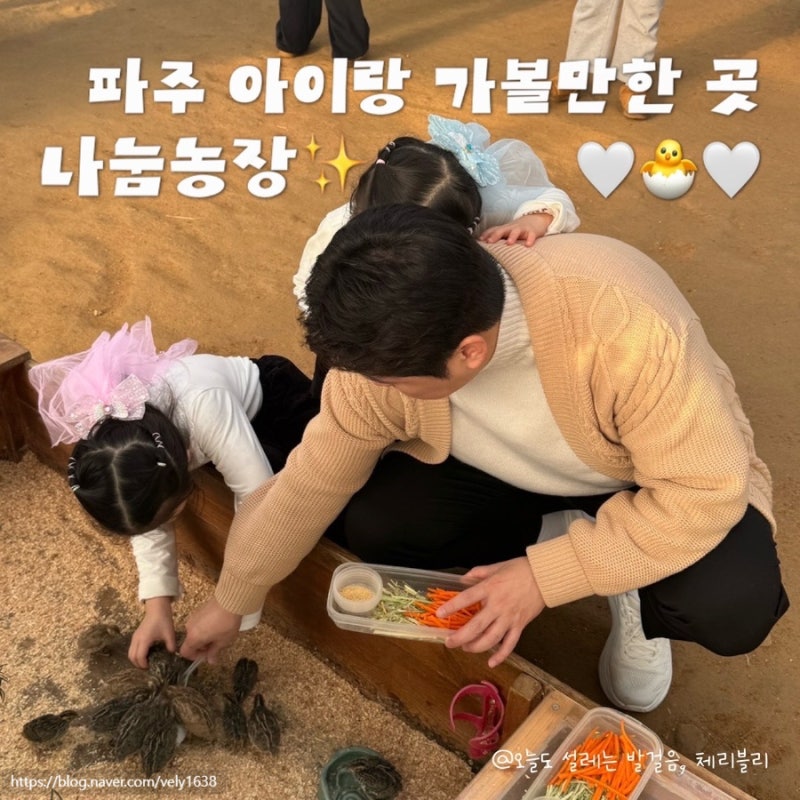 파주 예약없는 동물원 나눔농장 입장료와 주말 아이랑 동물체험 꿀팁 총정리 :)