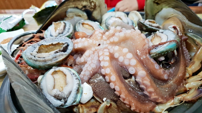 사해방 사진 2