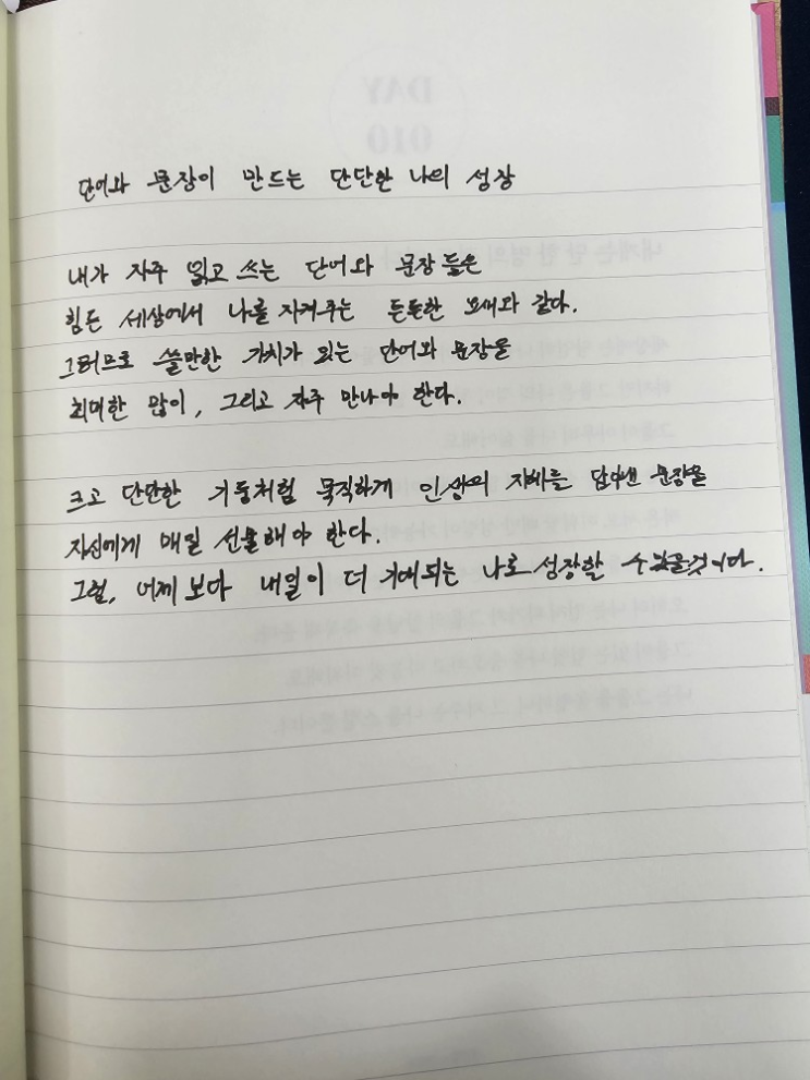  [100일 필사노트] 단어와 문장이 만드는 단단한 나의 성장