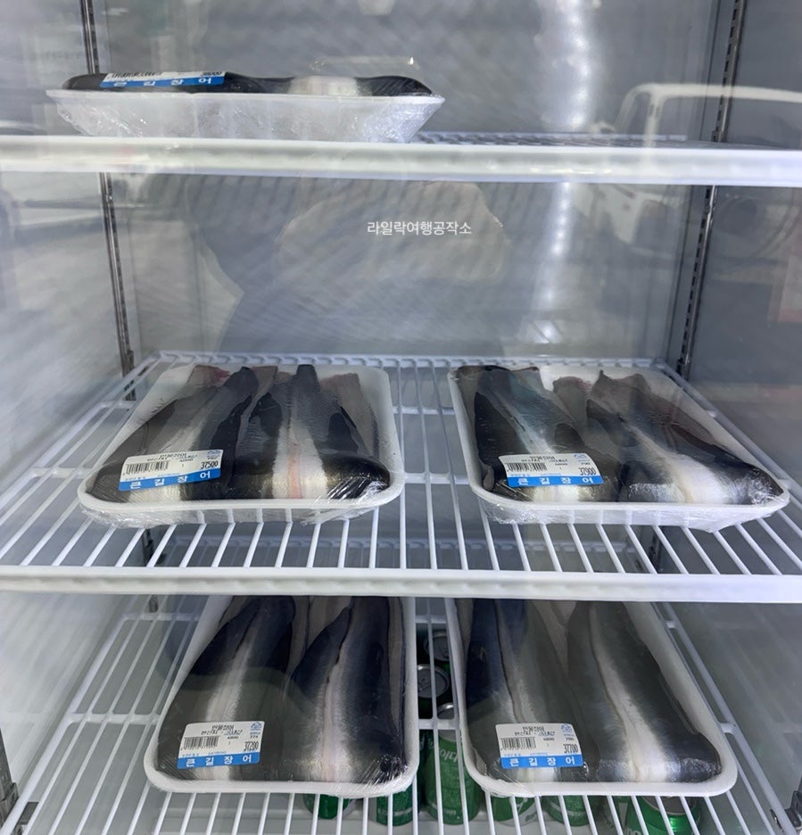 큰길장어 사진 6