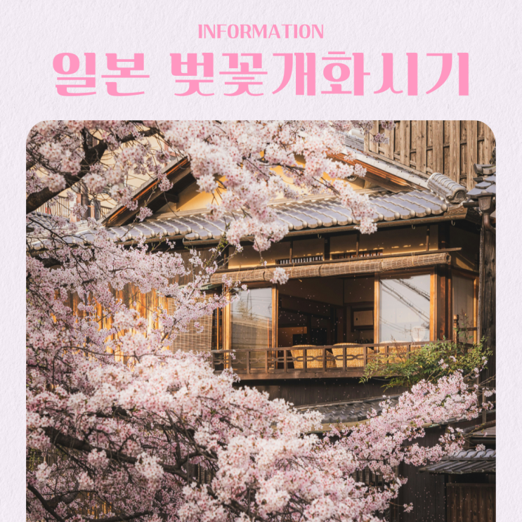  2026년 일본 벚꽃 개화시기 지역별 추천 명소 BEST 5