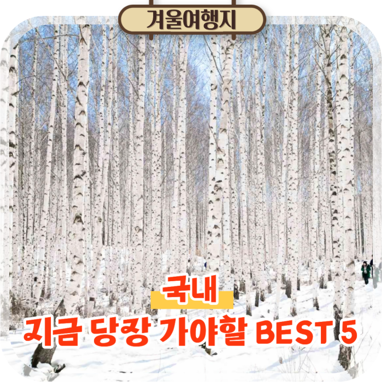  국내 겨울여행지 추천, 지금 안 가면 후회할 BEST 5