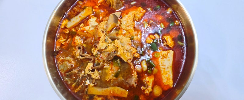 얼큰한 국물요리 생각날때 차돌육개장 만들기 초간단 육개장끓이는법