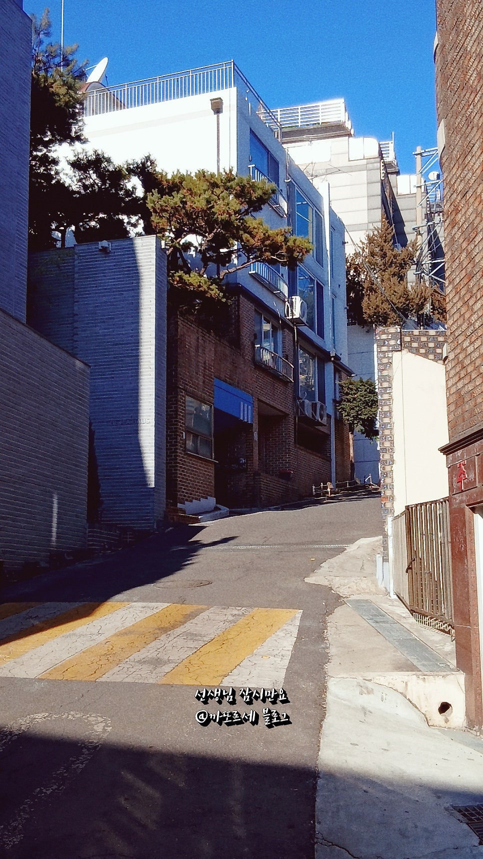 디 진테제 카페 사진 2