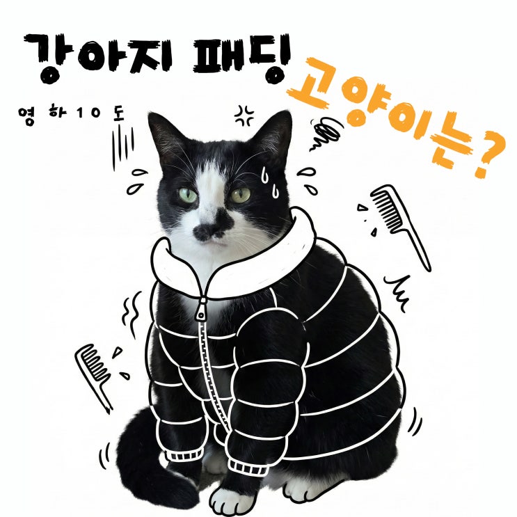  강아지 패딩 부러워서 김장조끼 입혔다가 고양이 고장난 썰