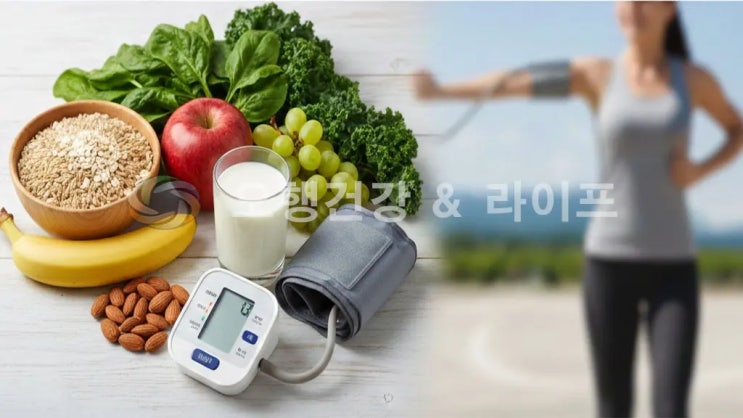  혈압약 먹기 전 꼭 확인! 고혈압 원인과 식단 관리 핵심 가이드