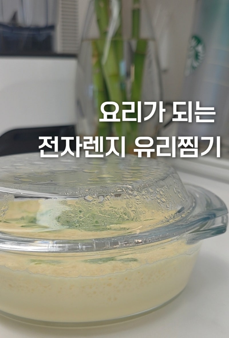 가성비 전자레인지 유리 찜기 추천! 환경호르몬 걱정 없는 내열유리찜기 (만두/계란찜)