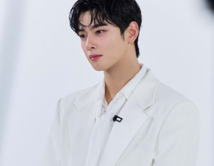 “<b>판빙빙</b>·호날두급?” 차은우 200억 탈세 의혹…국내 1위... 