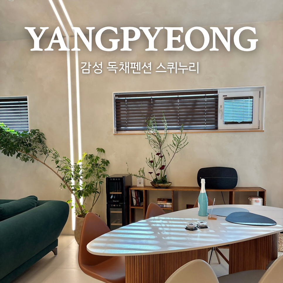 스퀴누리 사진 1