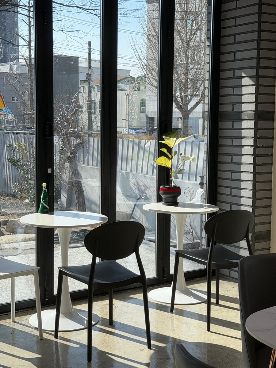 제니도 사진 4