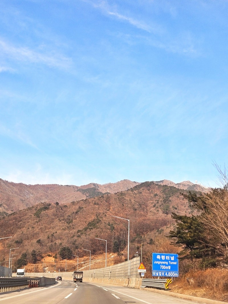 사진 8