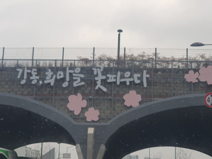 대포항횟집 사진 6