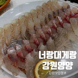 아이랑 가기 좋은 쏠비치양양 근처 횟집 너랑대게랑