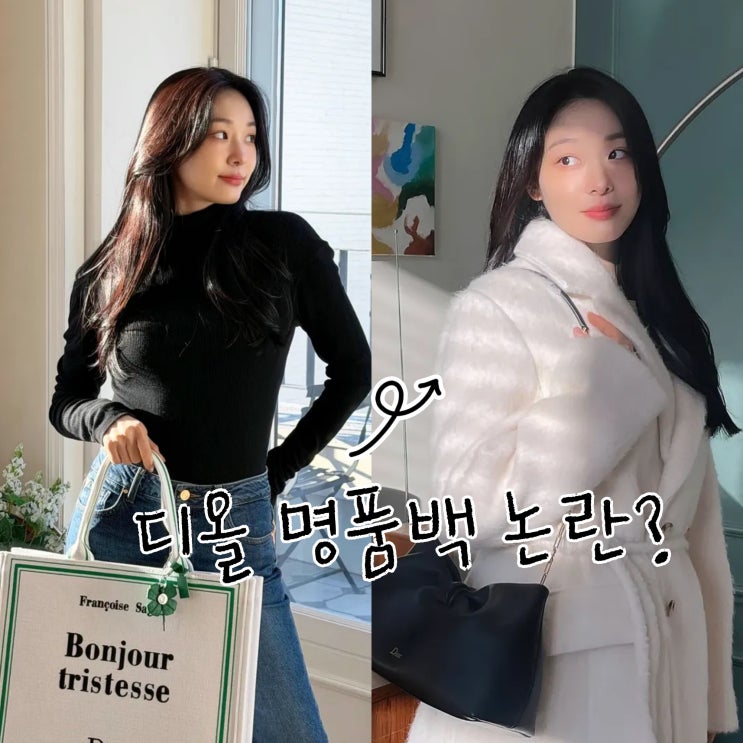 김연아, 디올 명품백 논란이 된 이유?(북 토트백 & 보우백)
