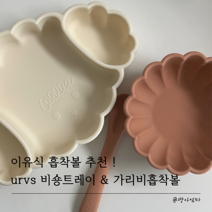  urvs 비숑 트레이 & 가리비 흡착볼+스푼 언박싱 | 이유식 흡착볼