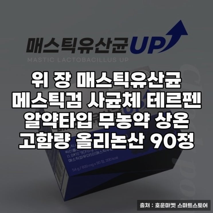  고함량 유산균, 위 장 메스틱유산균 추천