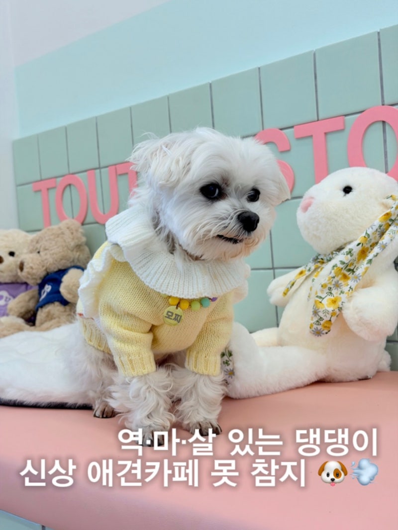 사진 3