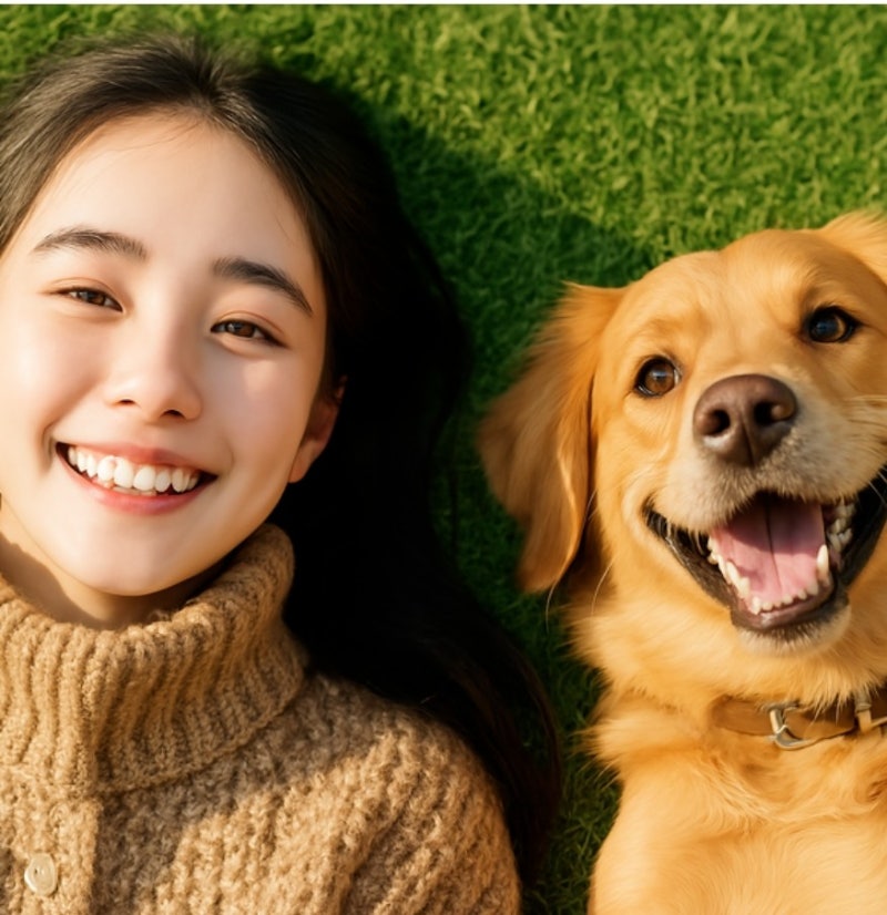 사진 3