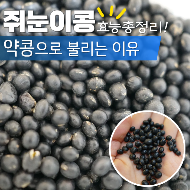  쥐눈이콩 효능 부작용 서목태 약콩