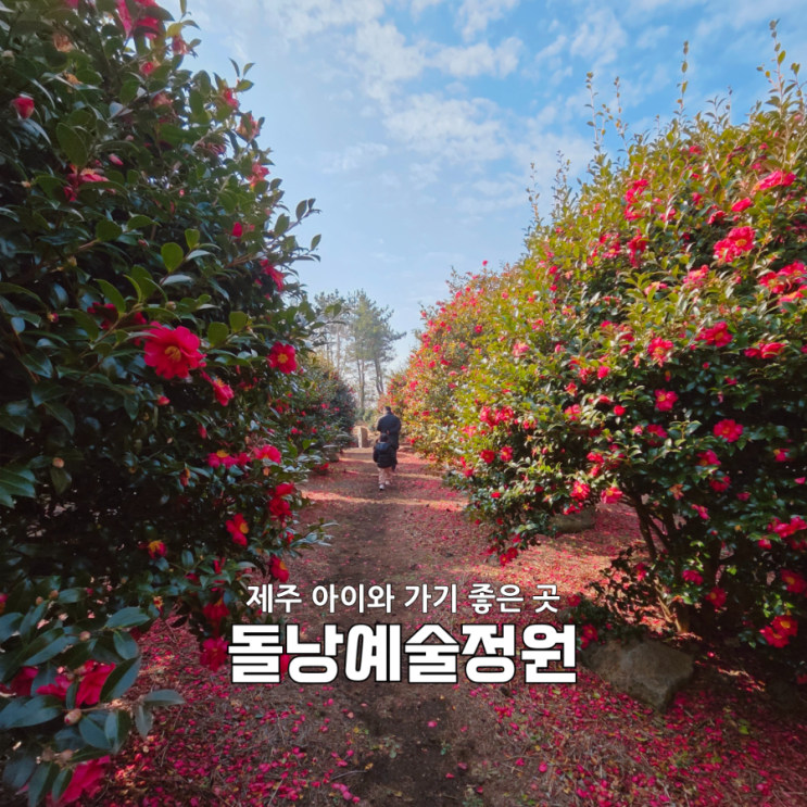  제주가족여행 추천｜돌과 나무의 정원 돌낭예술정원, 아이랑 산책하기 딱 좋아요