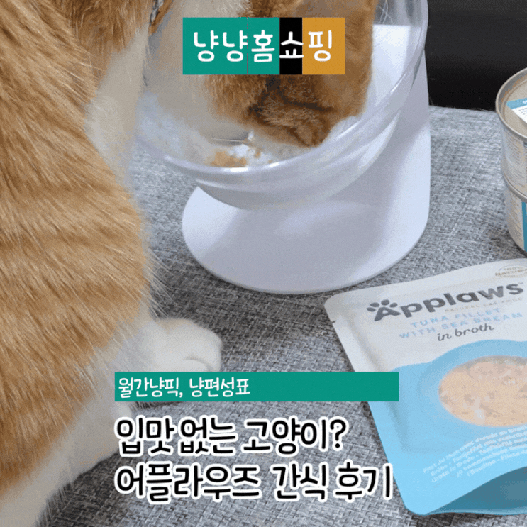  어플라우즈 고양이 간식 후기 두 마리 반응 다른 이유 분석까지