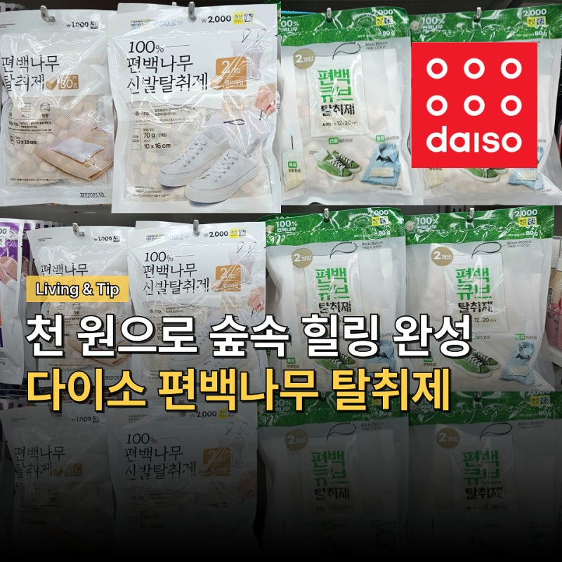피톤치드 효과에 향이 솔솔~ 다이소 추천템 편백나무 탈취제 아세요?