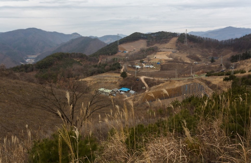 재치산 사진 5