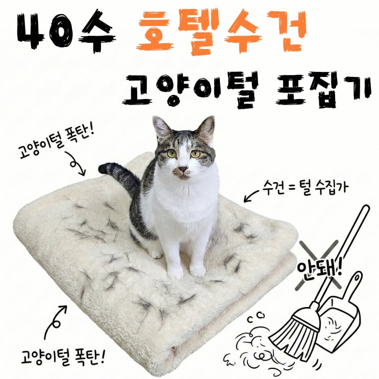  호텔수건 40수 도톰해서 좋았다면 고양이집에서는 30수에 양보하세요