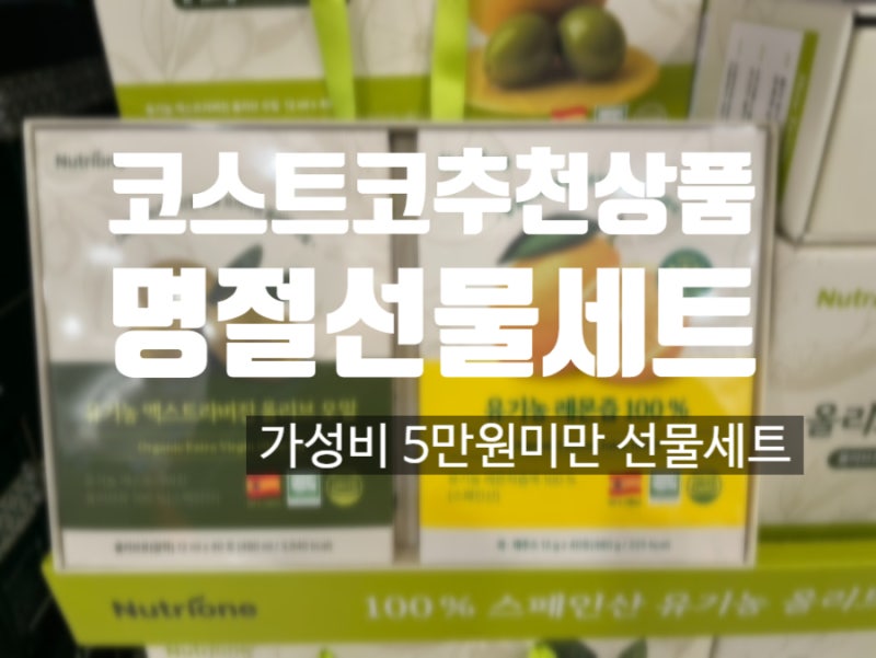 코스트코 설명절 선물세트 추천 1만원대~5만원미만