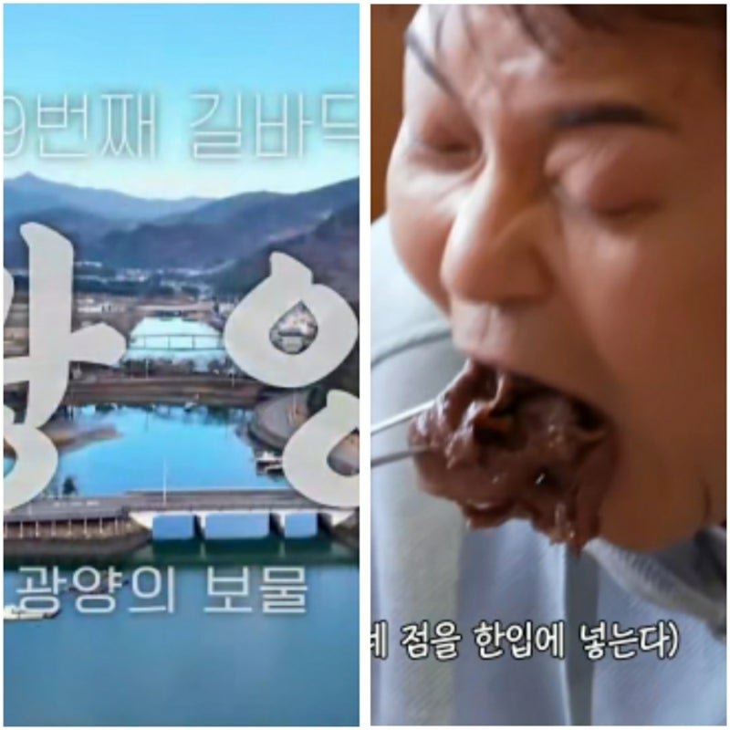 전라남도 광양 먹거리 맛집 전현무 계획 시즌3 곽준빈 먹방 유튜버 요정 괴물 듀오 맛집 섬진....